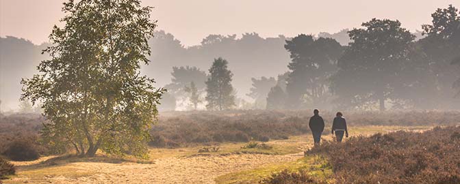 Wandelen in Gelderland